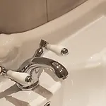 L'ortodellerose